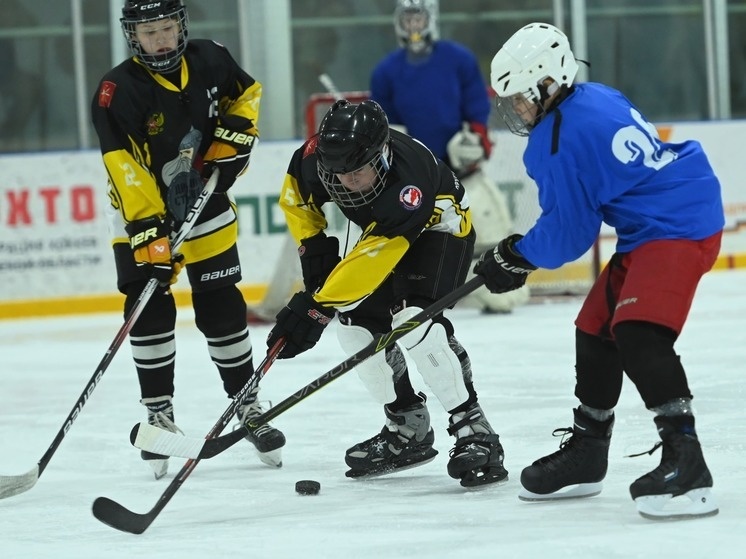     фото здесь и далее - Региональная общественная организация «Спортивная Федерация по хоккею в Тульской области»