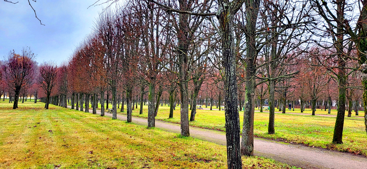 Фото взято из интернета.