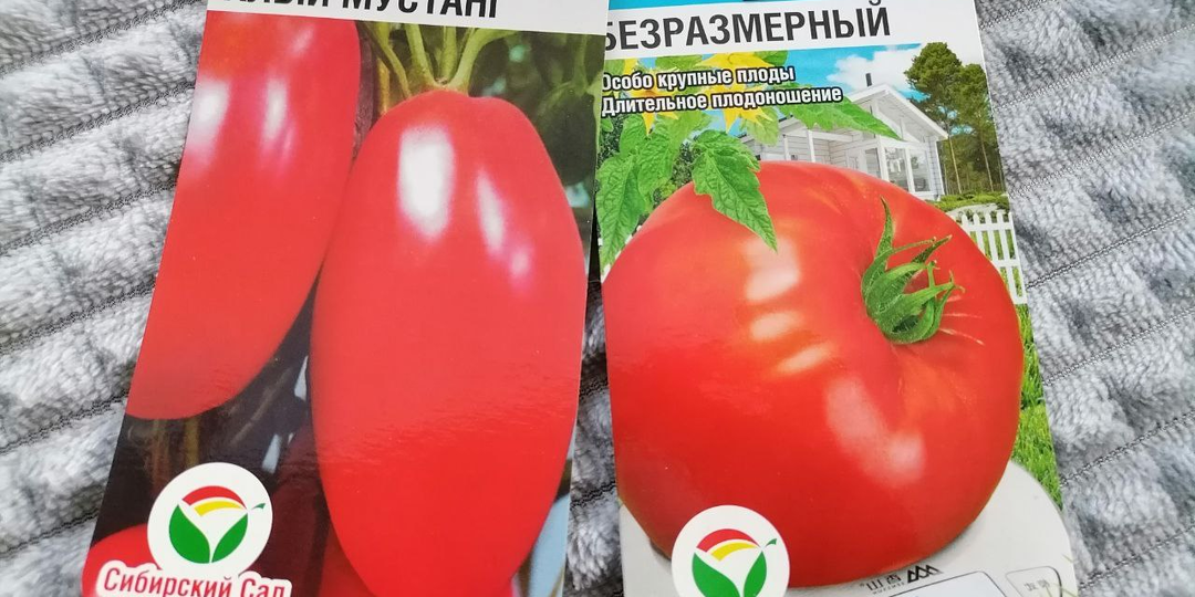 5 самых крупноплодных и популярных сортов томатов для Сибири и сибирской селекции
