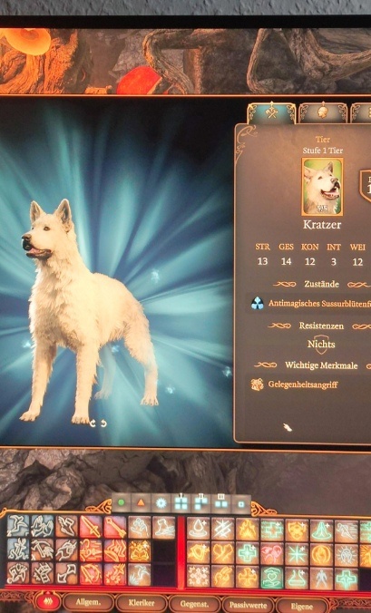    В Baldur’s Gate III нашли лучшее оружие против магов. Им оказался пёс Шкряб