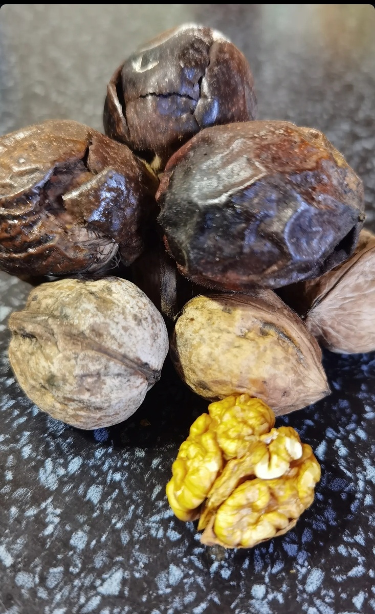 Вышел, подобрал, съел