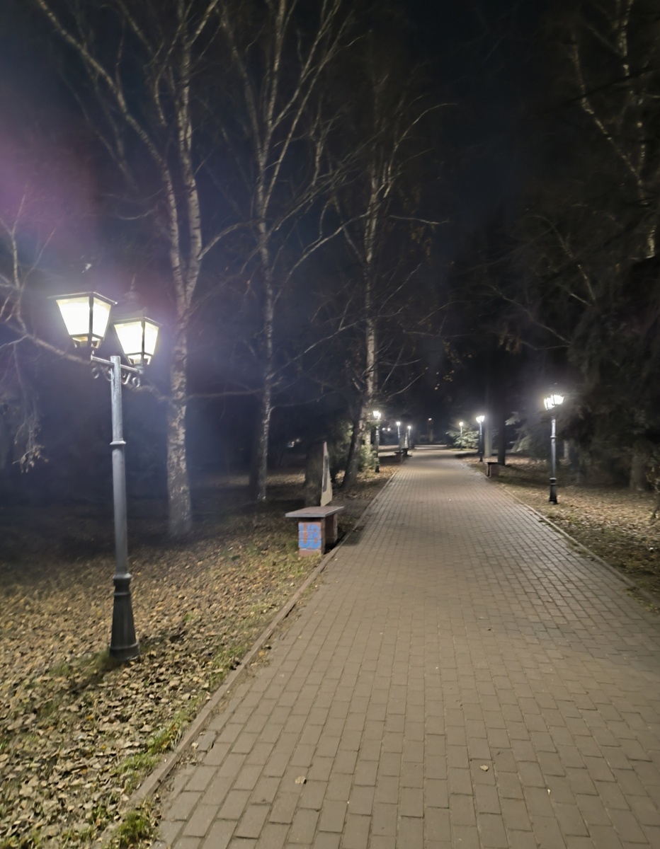 Все фотографии в статье авторские. 