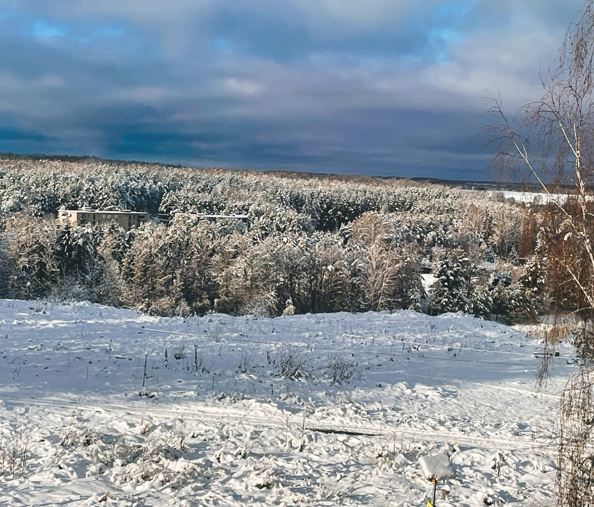 Фото автора.