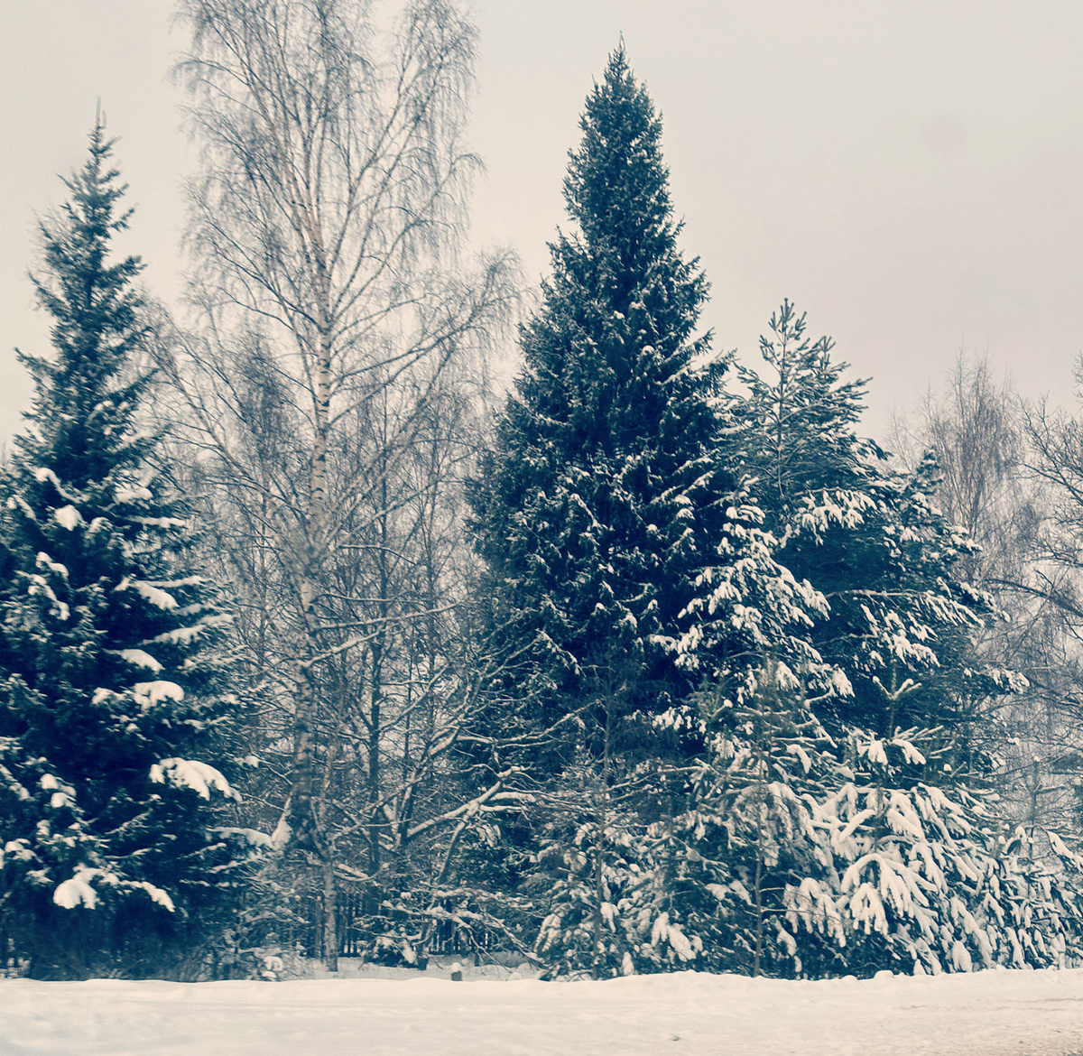 Фото автора.