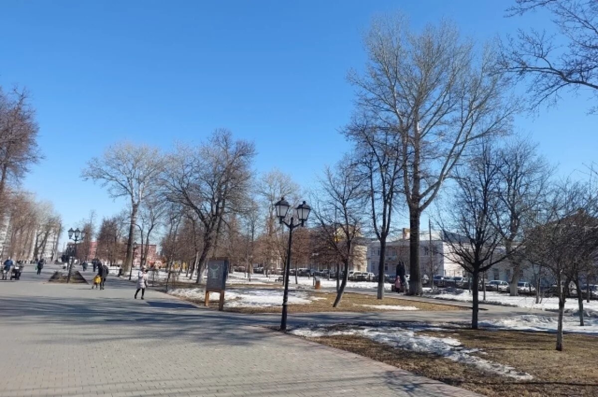    Полноценная зима не спешит в Тульскую область