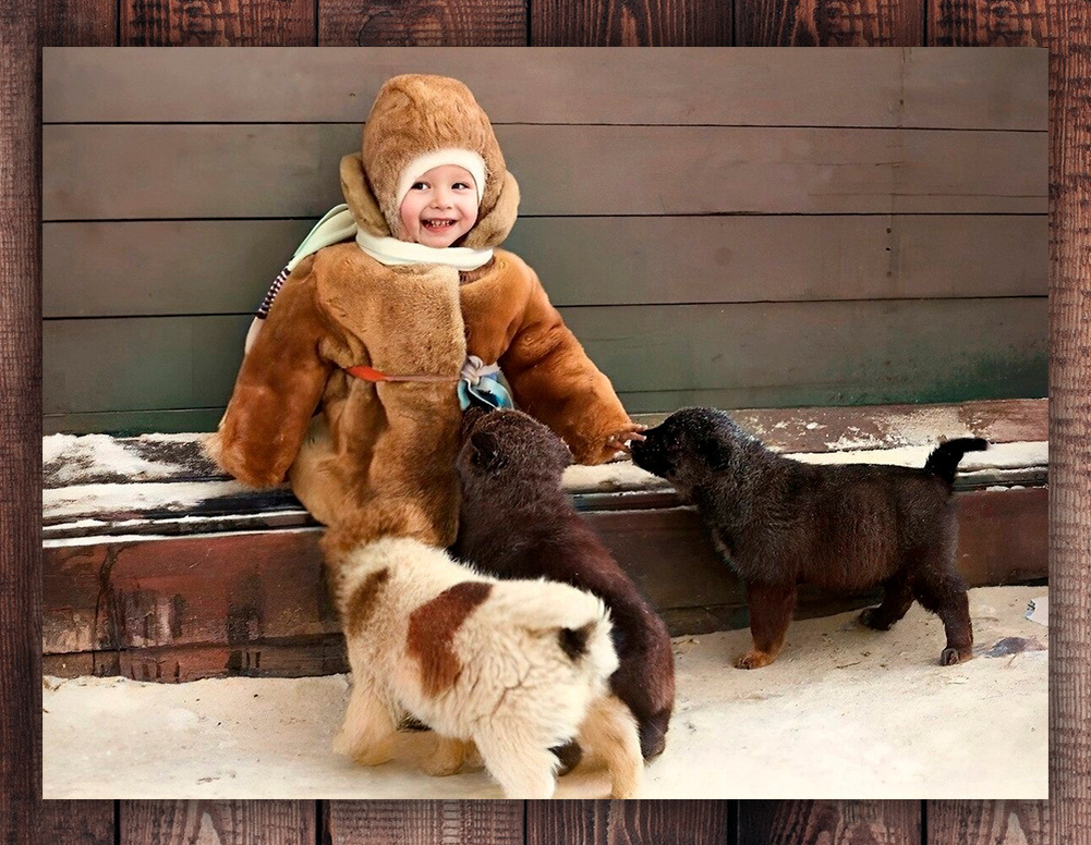 Фото с просторов интернета