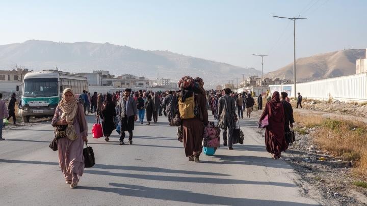 Коллаж: ИА Новороссия.