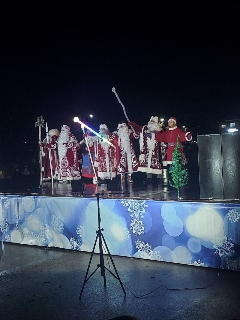    "Зажгли красавицу-ёлочку, потанцевали, попели": спикер Петросовета съездила к ПаккайнеНадежда Дрейзис / ВК