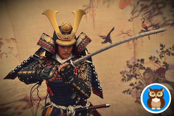 Коллаж из изображений Flickr и Pixabay