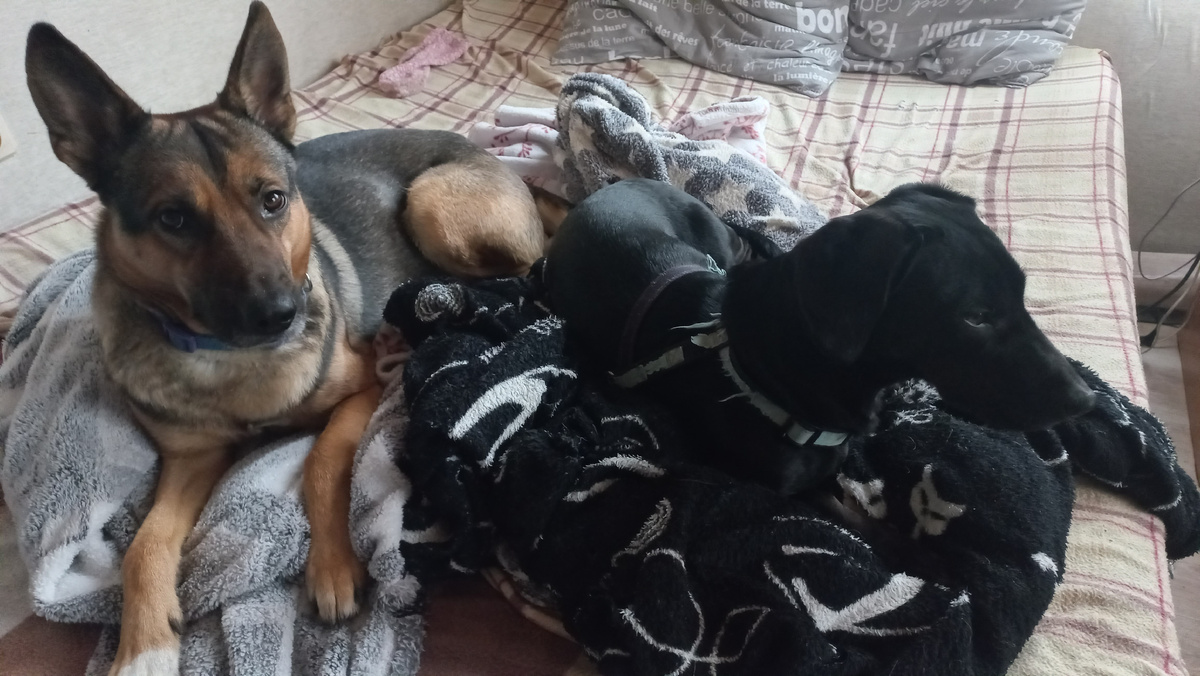 Это и другие фото в статье сделаны автором и принадлежат ему на условиях авторского права 