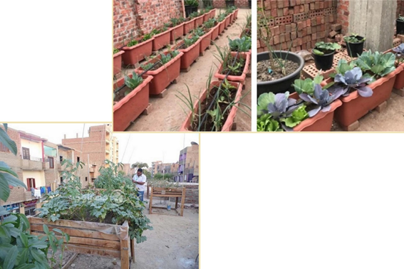 Провинция Гарбия.