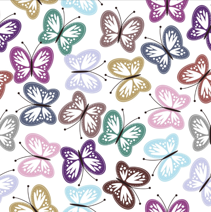 Иллюстрация автора 