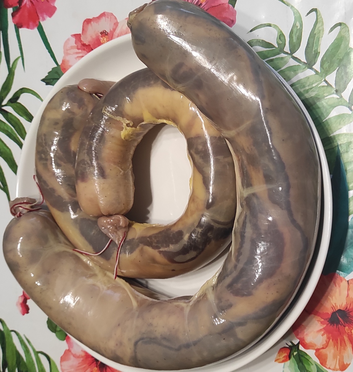 Я автор фото мы казахи.