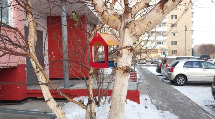    Фото: Марина Цурмаст