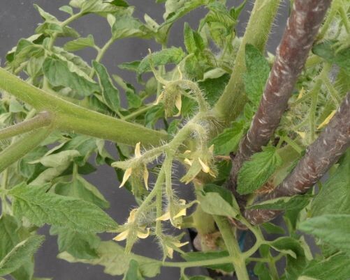 Использую только свои фото.