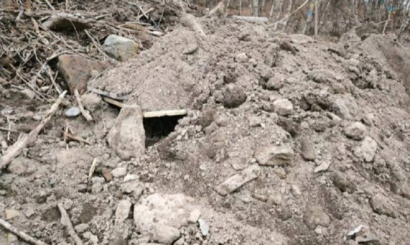    Источник фото: РБК Приморье