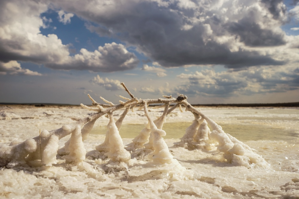 Во время испарения воды веточка стала точкой роста кристаллов соли. В солёных озёрах такое случается регулярно.