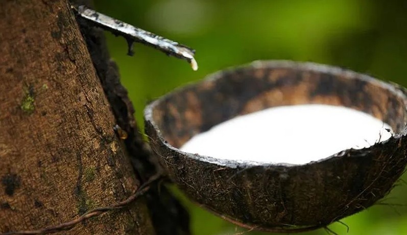 Натуральный каучук