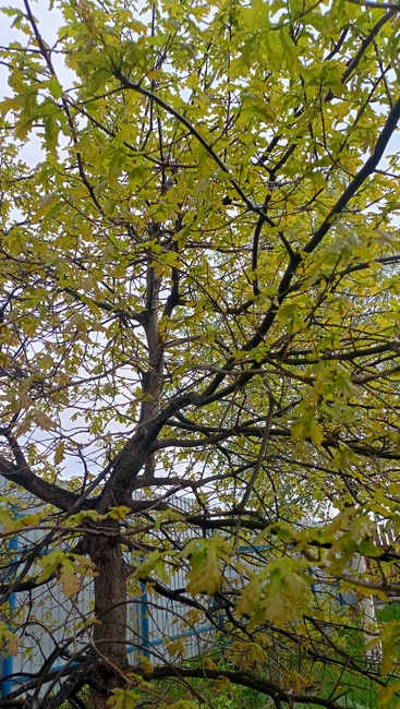 Фото автора кнала "Дети. Развитие."