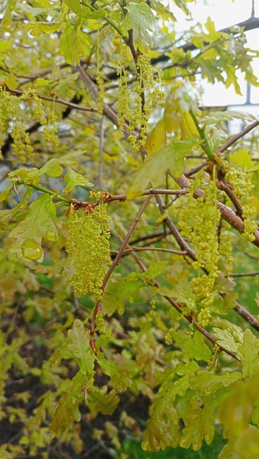Фото автора канала "Дети.Развитие."