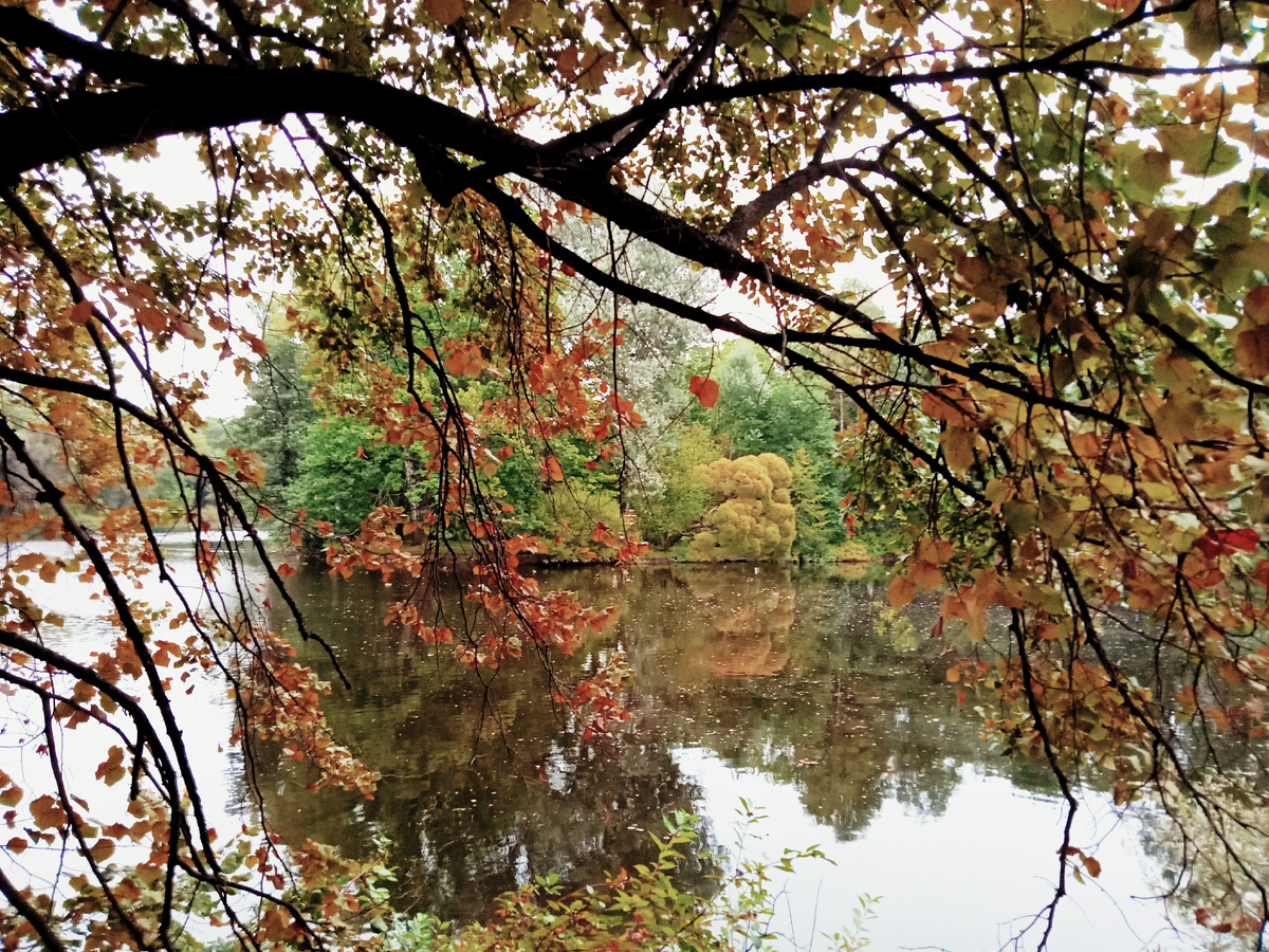  Елагин. Фото автора