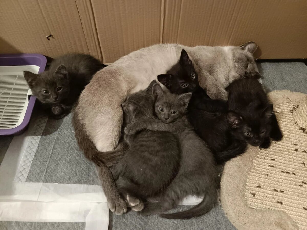 Наши спасеныши