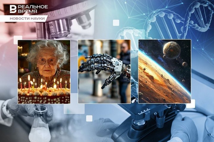 Фото: коллаж "Реального времени"