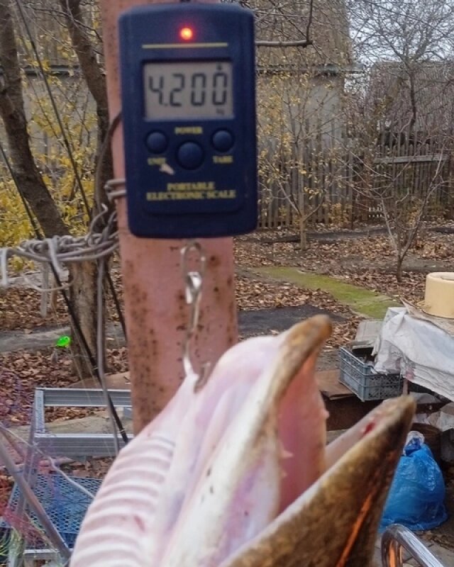    Фото: соцсети./ Юрий Пименов