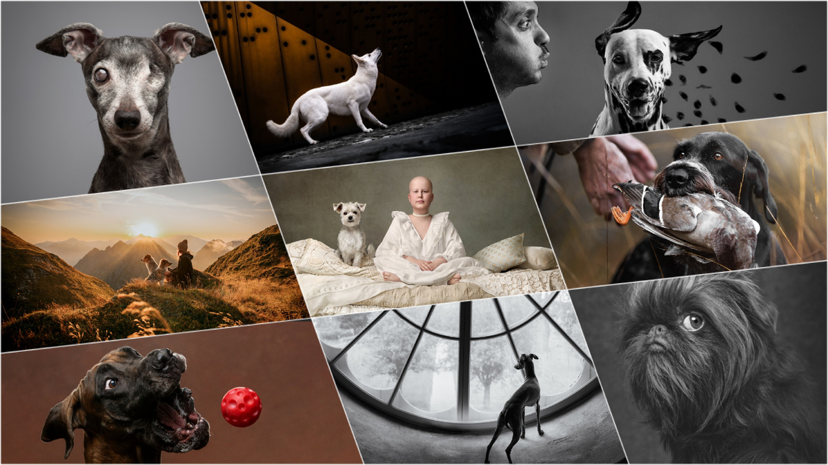 И это лишь малая часть снимков!