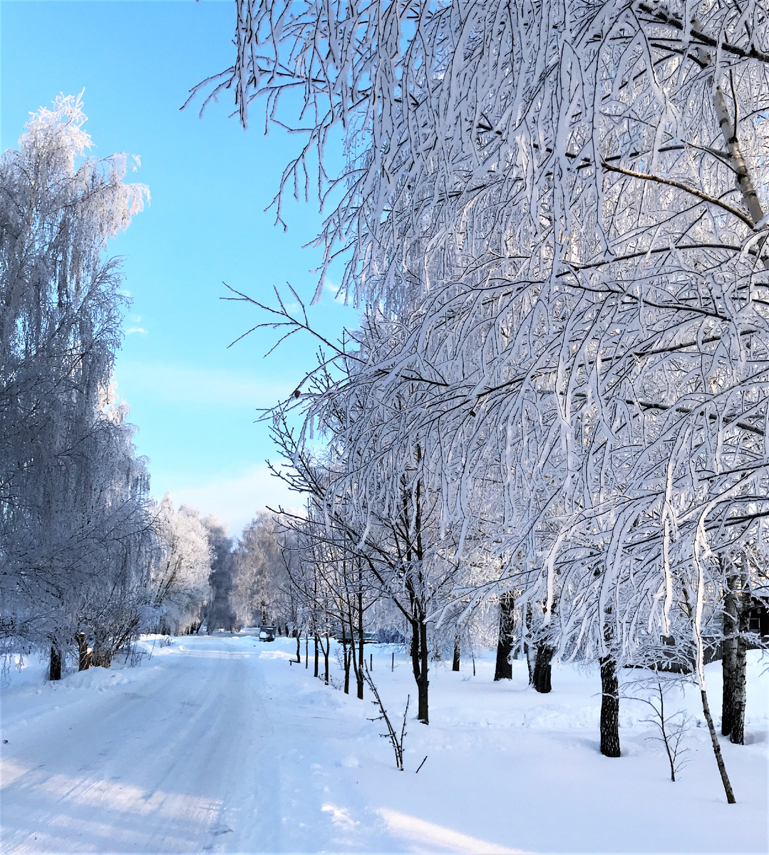 Зима в Коломне (фото из личного архива)