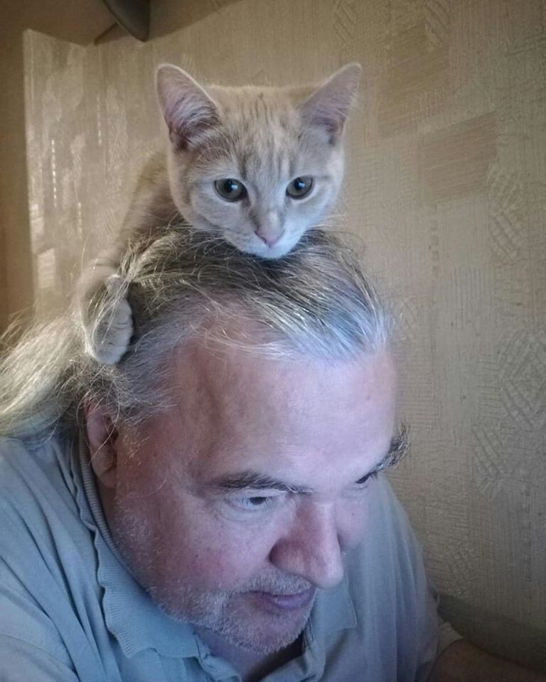 Я с Кимчи. Так он мне помогает сочинять) 