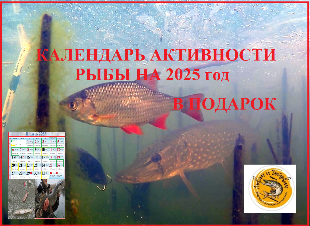 2025 год обещает быть жарким.