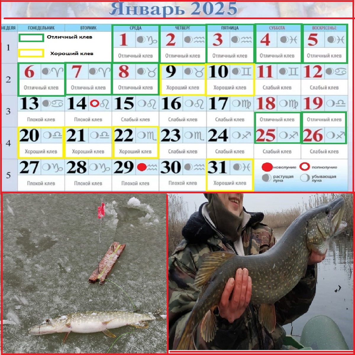 В январе 16 дней с отличным и хорошим клевом.