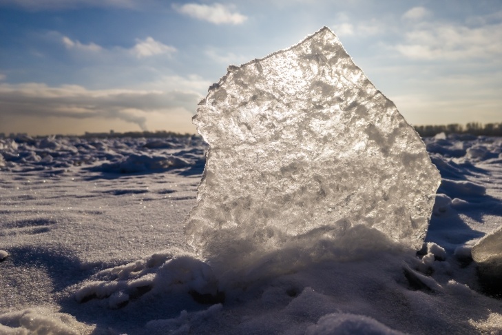    Фото Андрея Заржецкого