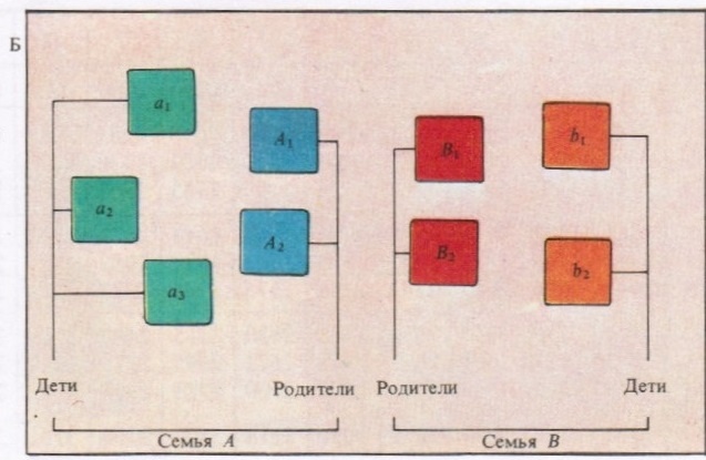 Две семьи (одна с тремя, другая с двумя детьми) образуют универсальное множество (А). Ею можно изобразить схематически (Б), обозначив каждый из элементов буквой. Для математических манипуляций над множеством в так называемых диаграммах Венна вполне достаточно букв. Эти диаграммы были введены в 1880 г. английским математиком Джоном Венном (1834 - 1923).