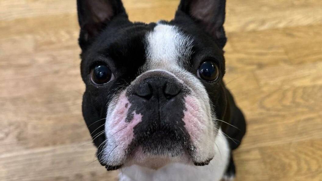    Фото: Telegram-канал Эдуарда Соснина