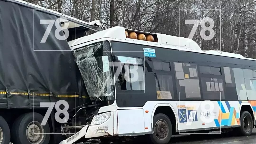     Источник: 78.ру