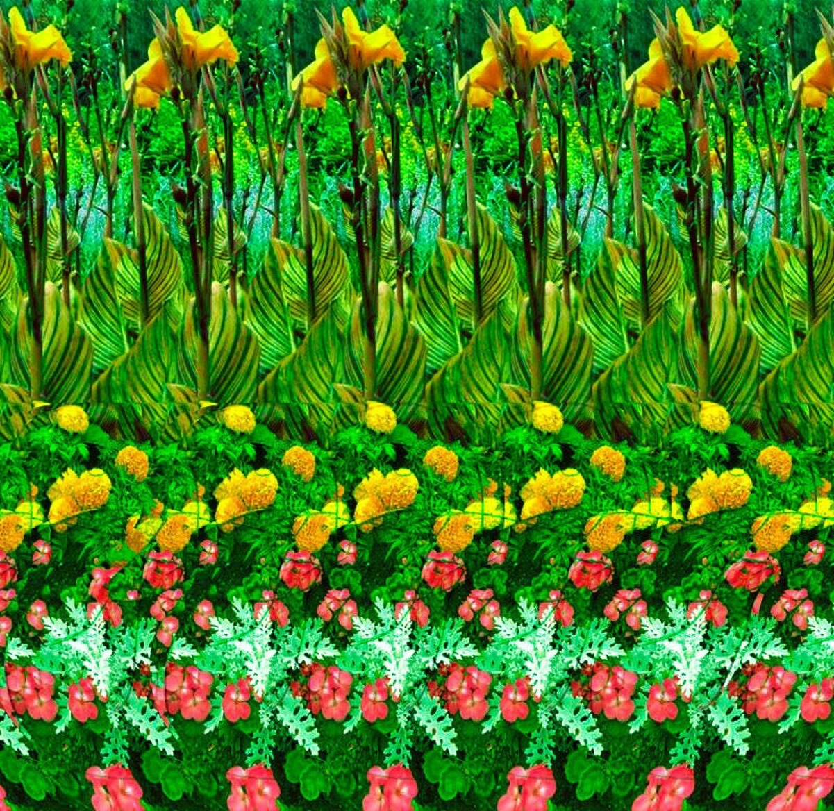 Картинка из интернета