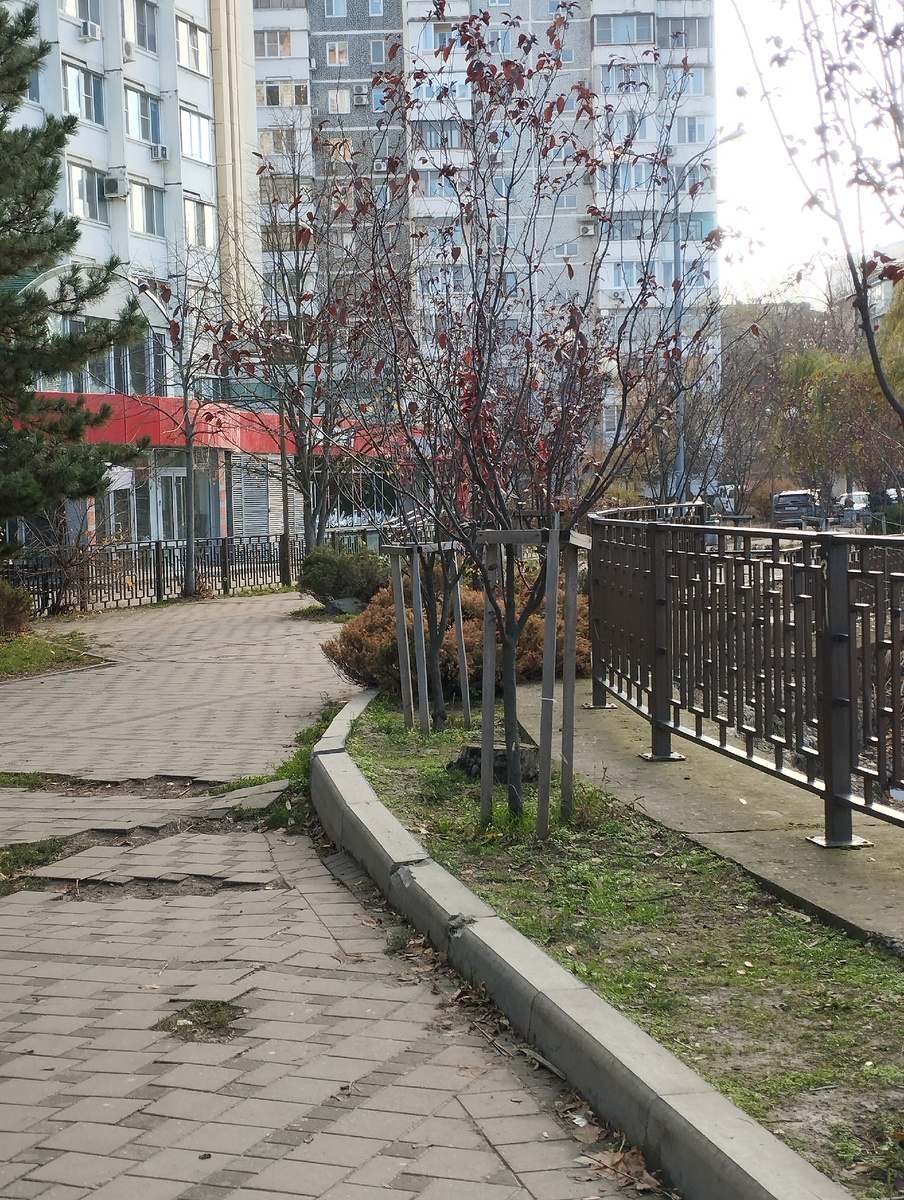 Фото 2. Набережная рядом с жилыми домами