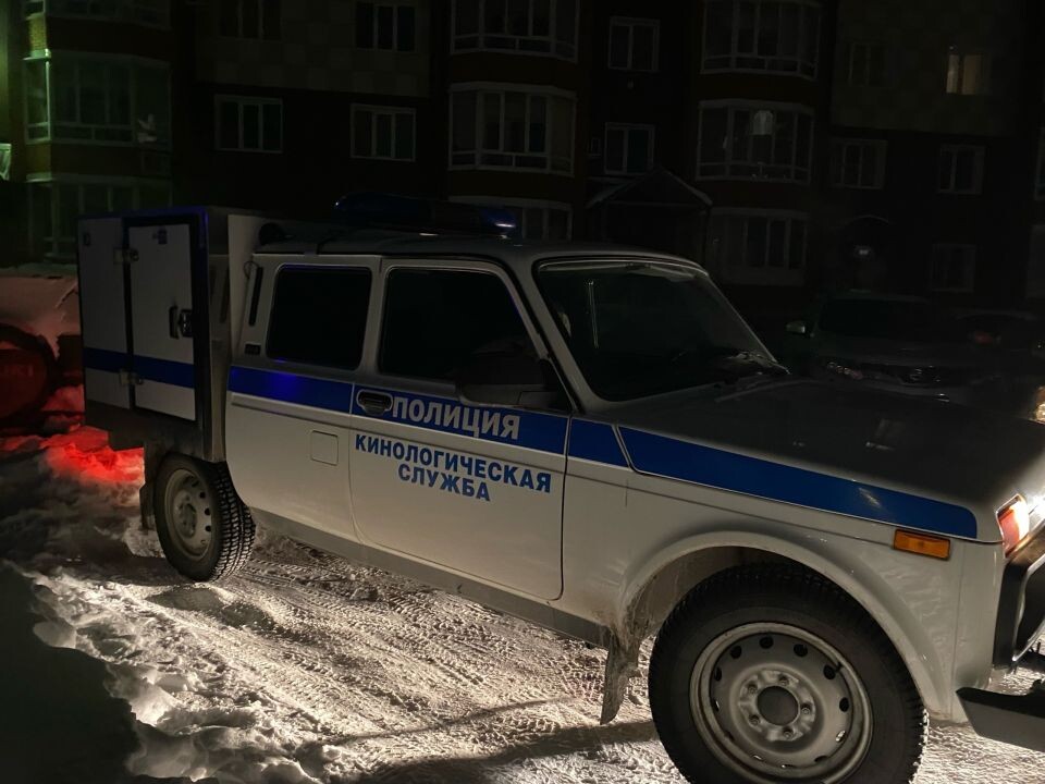    Поиски подростка. Источник: vk.com/sled_altay