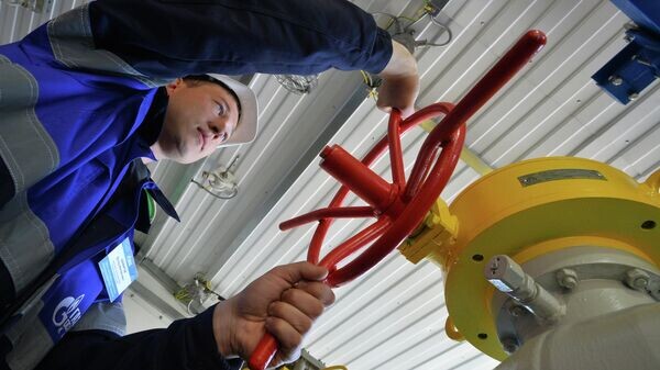    © Sputnik / Максим Богодвид