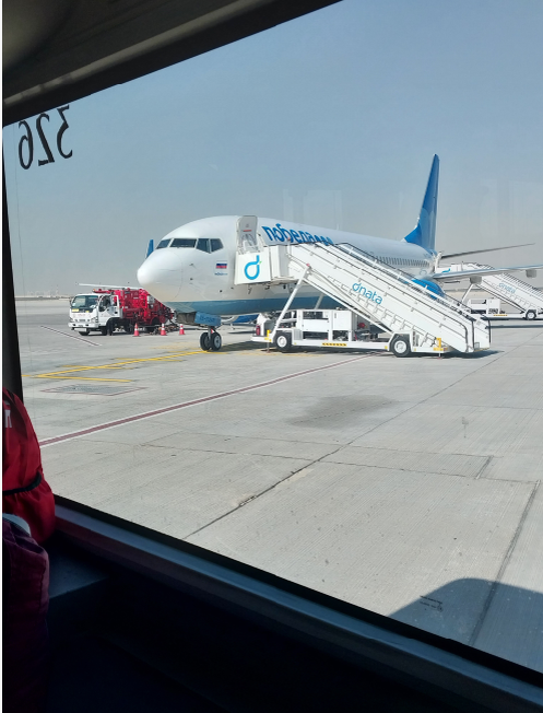 Любимая Победа с новым слоганом "Моя мама на борту". Не понимаю, правда, как именно "удовлетворяют" бортпроводницы пассажиров, если их единственная работа носить стаканчики с водой.