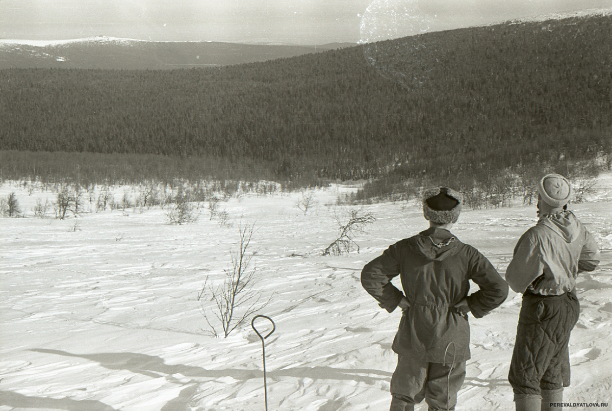 Вы же не думаете, что это фотография ради спин трёх человек в углу кадра. Кедры точно по центру. https://perevaldyatlova.ru/photo/