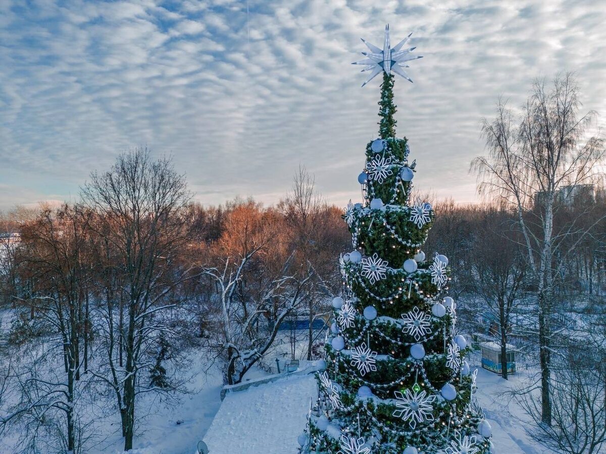 Елка в Тушинском парке уже наряжена! Фото из ВК