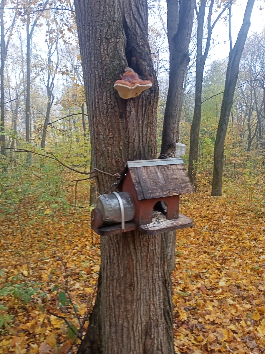 Фото автора.