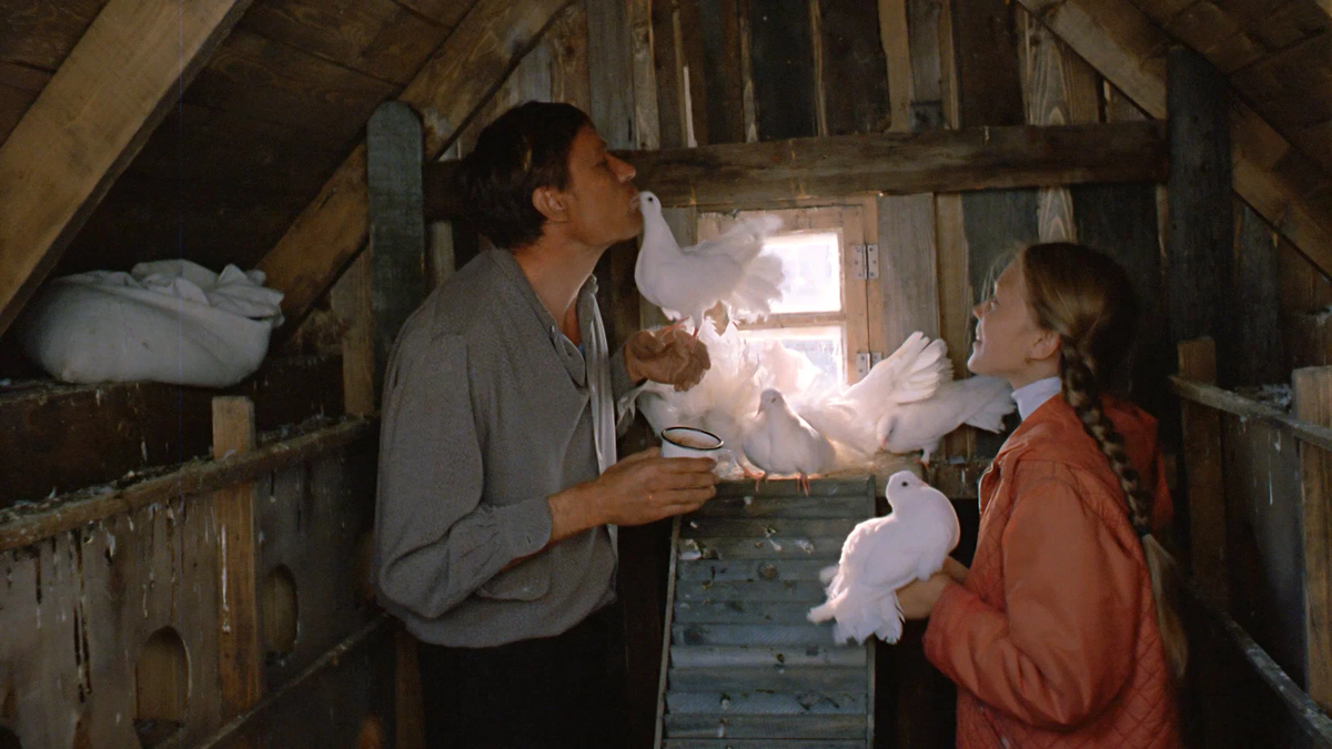 «Любовь и голуби» (1984), режиссер – Владимир Меньшов
