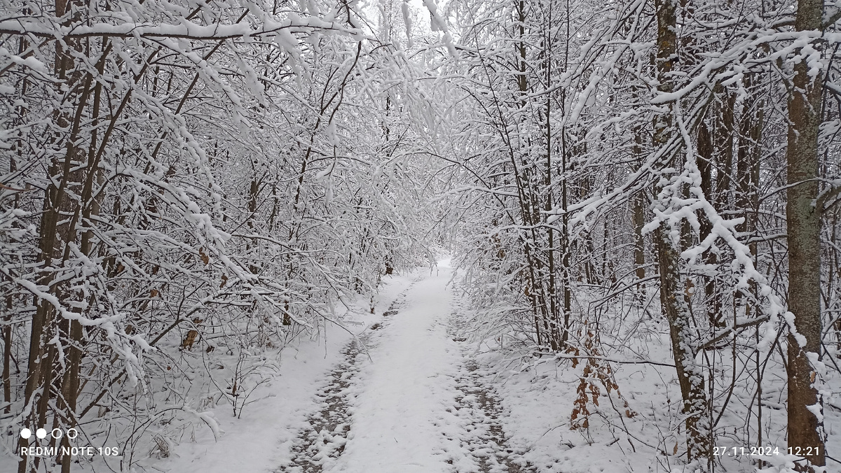Пришла зима. Фото автора.