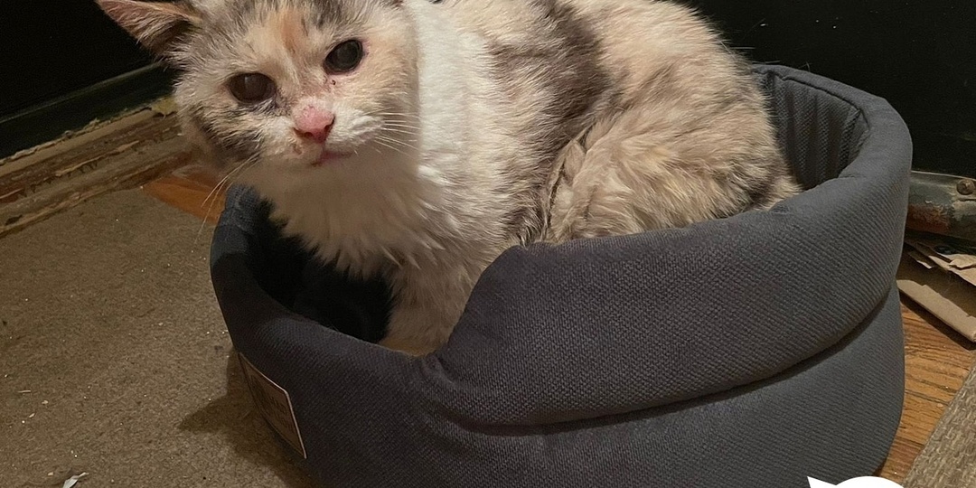 Лилуна в 15 лет начала новую жизнь