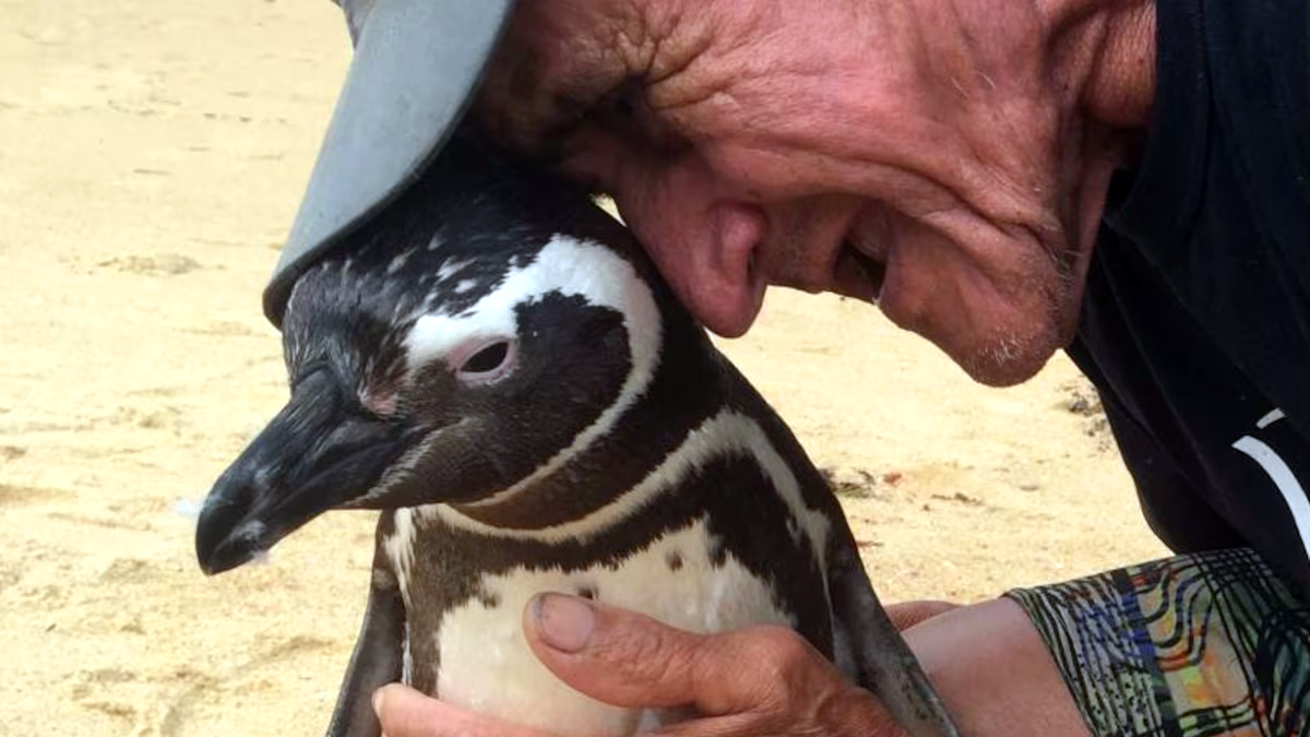 Жоау и Диндим