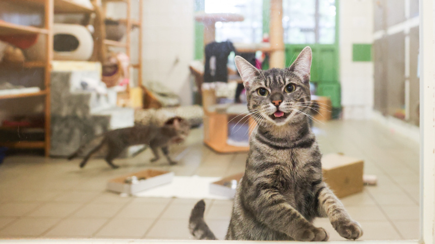    Фото: www.globallookpress.com/Christian Charisius